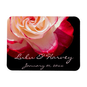 Red Tipped White Rose Personal Wedding Magnet