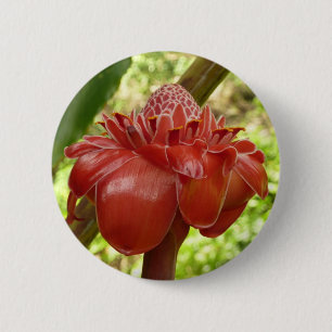 Red Torch Ginger Tropical Flower Fotografie Button