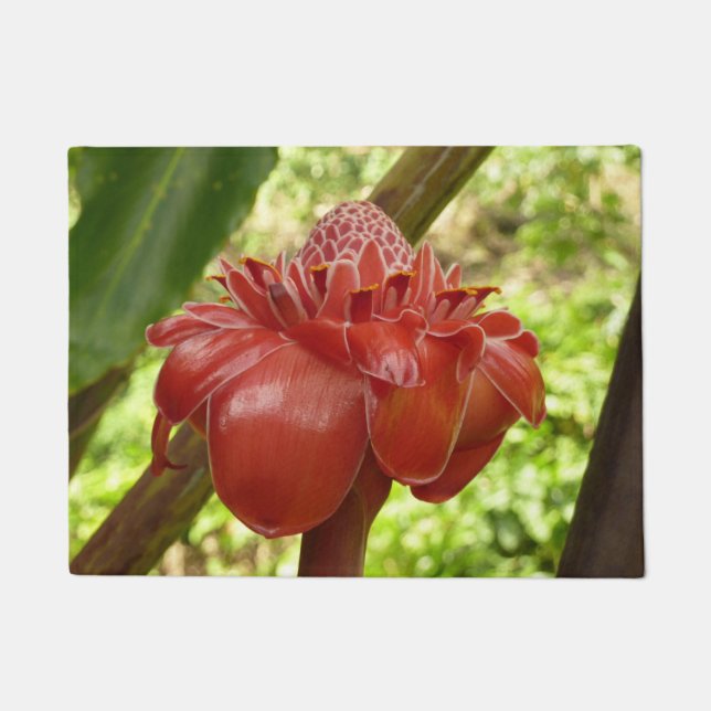 Red Torch Ginger Tropical Flower Fotografie Fußmatte (Vorderseite)