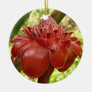 Red Torch Ginger Tropical Flower Fotografie Keramikornament