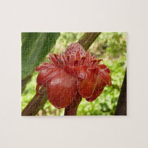 Red Torch Ginger Tropical Flower Fotografie Puzzle