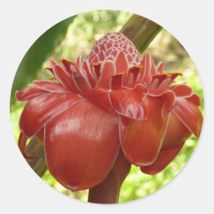 Red Torch Ginger Tropical Flower Fotografie Runder Aufkleber