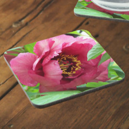 Red Tree Peony Bloom Floral Getränkeuntersetzer