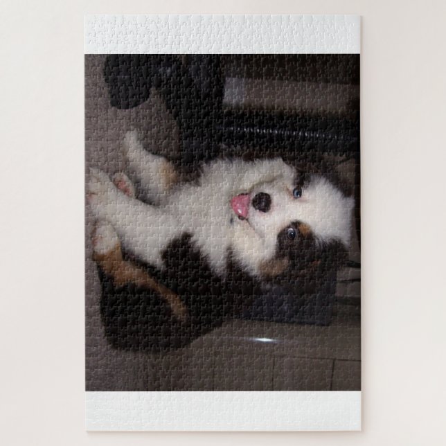 Red tri Puppy mini aussie Puzzle (Vertikal)