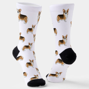 Red Tricolor Pembroke Welsh Corgi Niedlich Dog Mus Socken