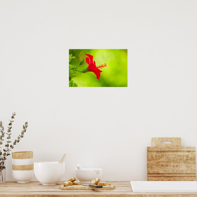 🌺 Red Tropical Kiss 💋 Poster (Küche)