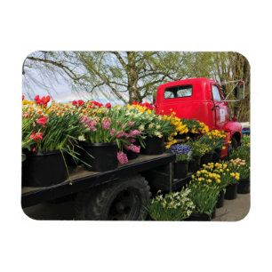 Red Truck mit Frühlingsblumen & Regenbogen Magnet