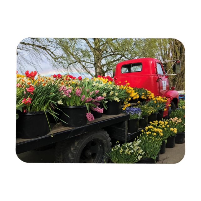 Red Truck mit Frühlingsblumen & Regenbogen Magnet (Horizontal)