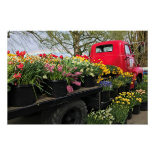 Red Truck mit Frühlingsblumen & Regenbogen Poster
