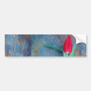 Red Tulip auf Blue Gray Slate Autoaufkleber
