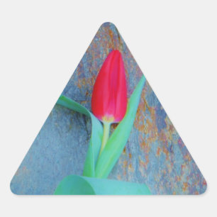 Red Tulip auf Blue Gray Slate Dreieckiger Aufkleber