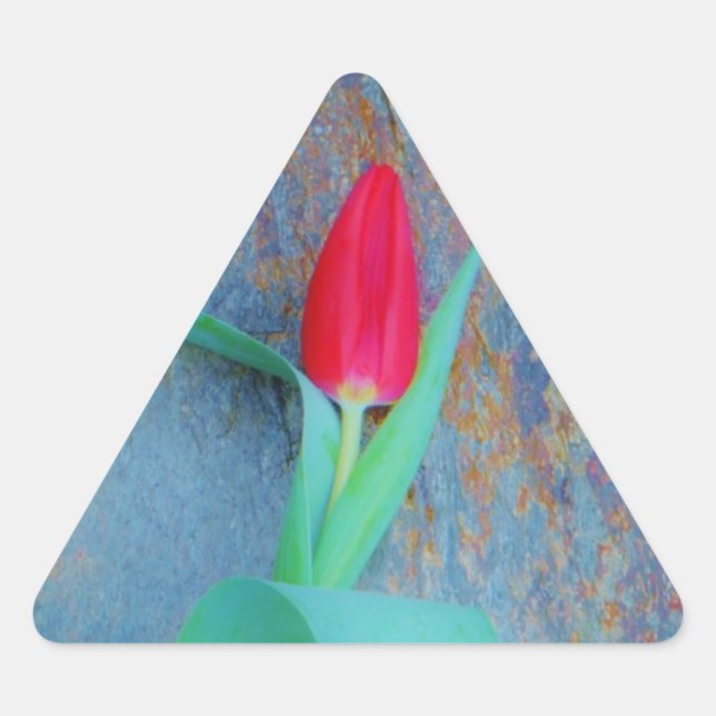 Red Tulip auf Blue Gray Slate Dreieckiger Aufkleber (Vorderseite)