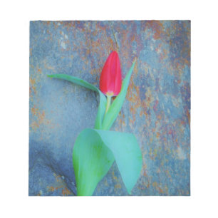 Red Tulip auf Blue Gray Slate Notizblock