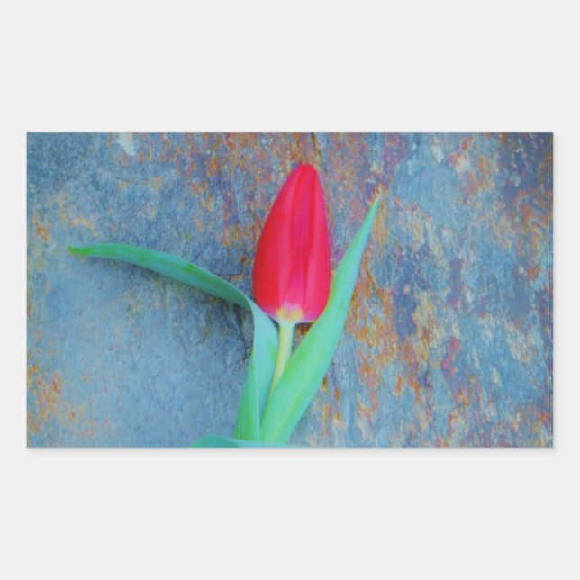 Red Tulip auf Blue Gray Slate Rechteckiger Aufkleber (Vorderseite)