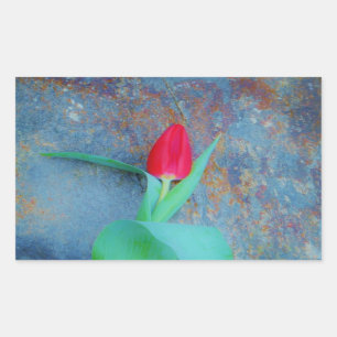 Red Tulip auf Blue Gray Slate Rechteckiger Aufkleber