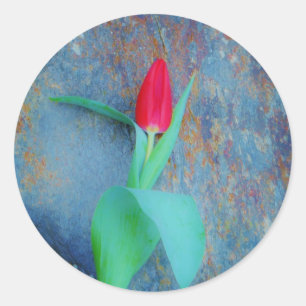 Red Tulip auf Blue Gray Slate Runder Aufkleber