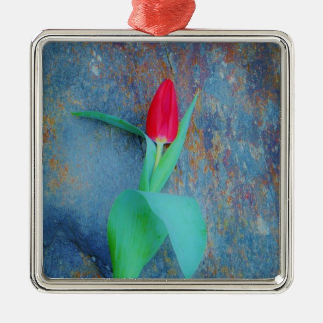 Red Tulip auf Blue Gray Slate Silbernes Ornament (Vorne)
