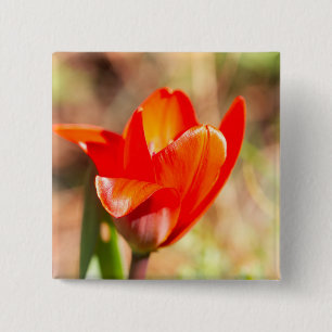 Red Tulip Blossom Button