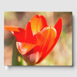 Red Tulip Blossom Gästebuch