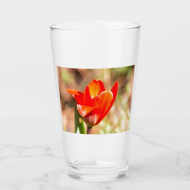 Red Tulip Blossom Glas (Vorderseite)