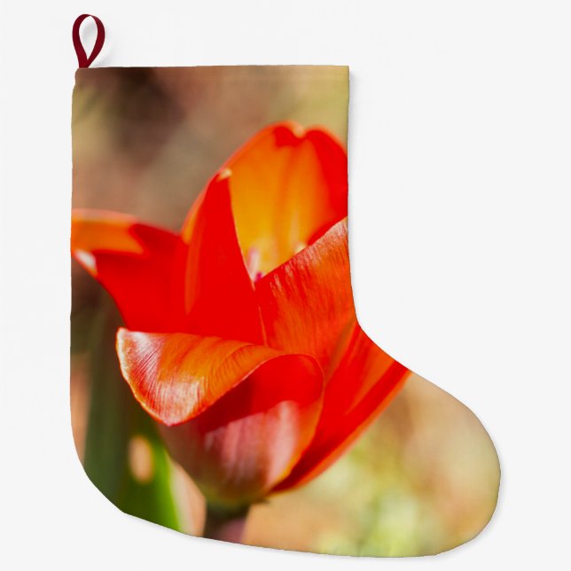Red Tulip Blossom Großer Weihnachtsstrumpf (Vorderseite)