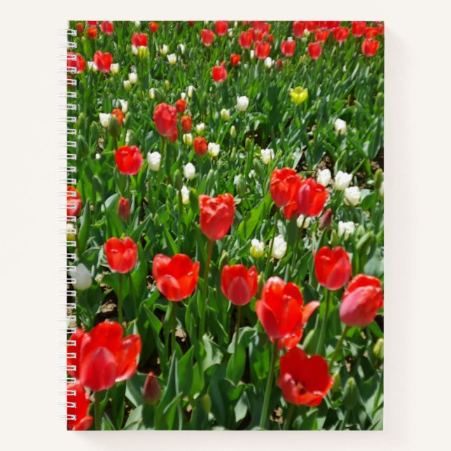 Red Tulip Blume Field Foto Notizbuch (Vorderseite)