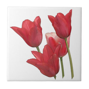 Red Tulip Blume Fliese