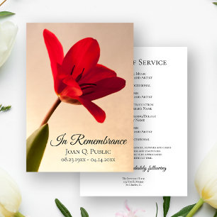 Red Tulip Blume Frühjahrsfeier Gedenkfeier Programm