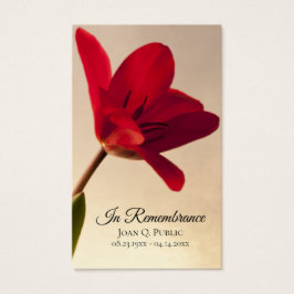 Red Tulip Blume Frühlingsfest Gedenkgebet