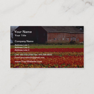 Red Tulip farm, Mot Vernon, Washington Blume Visitenkarte