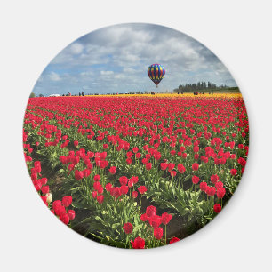 Red Tulip Field mit Hot Air Ballon Magnet