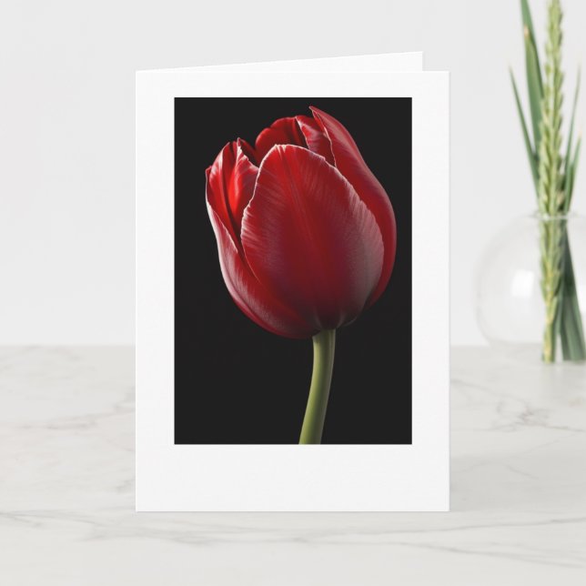 Red Tulip Grußkarte Karte (Vorderseite)