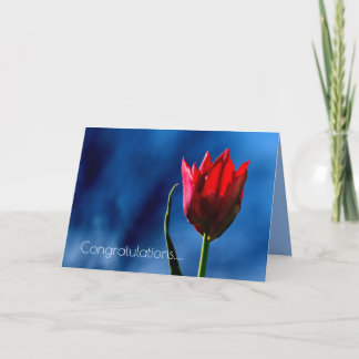 Red Tulip Happy Scheidung Day Karte