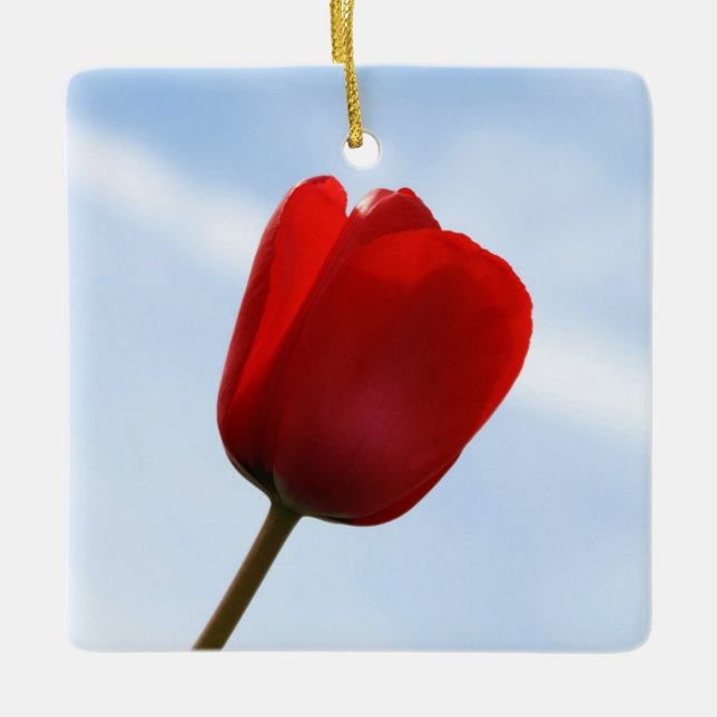 Red Tulip Ornament (Vorderseite)