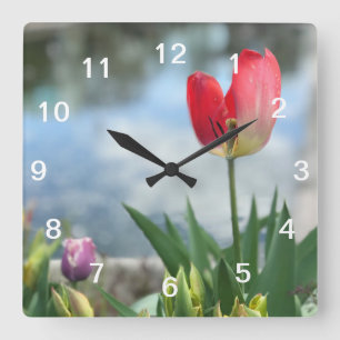 Red Tulip Wall Clock Quadratische Wanduhr