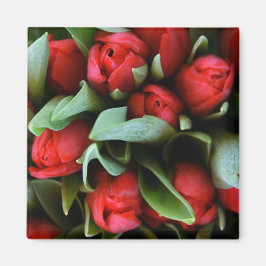 Red Tulips Bouquet Magnet