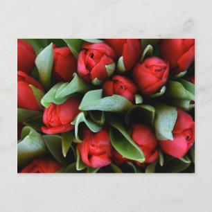 Red Tulips Bouquet Postkarte