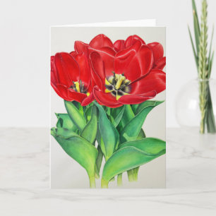 Red Tulips Feiertagskarte