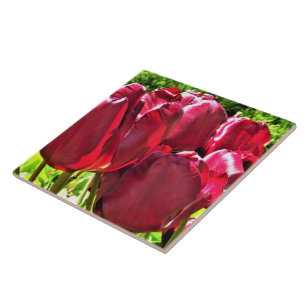 Red Tulips Keramik Tile Fliese