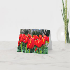 Red Tulips - Notecard Dankeskarte