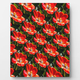 Red Tulips Pattern Fotoplatte