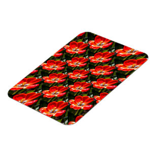 Red Tulips Pattern Magnet