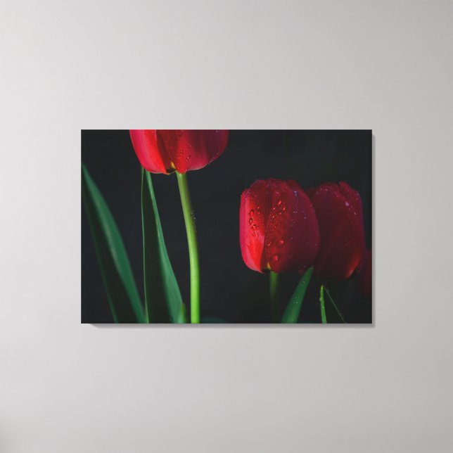 Red Tulips Wrapped Canvas Leinwanddruck (Vorderseite)