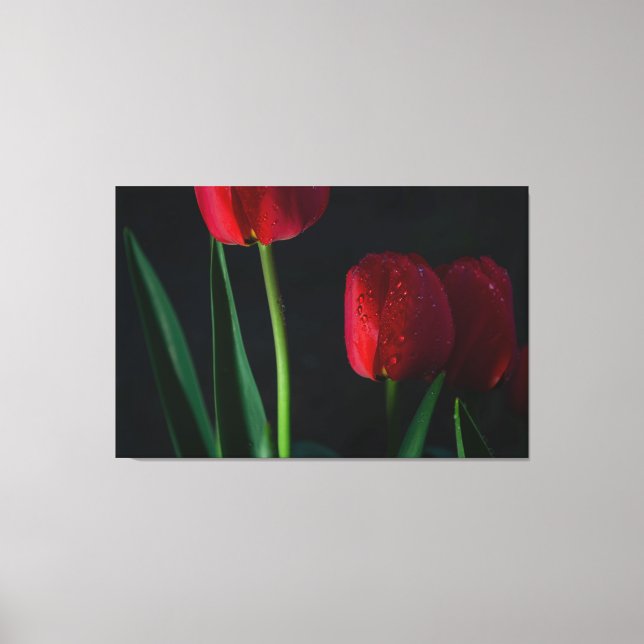Red Tulips Wrapped Canvas Leinwanddruck (Vorderseite)