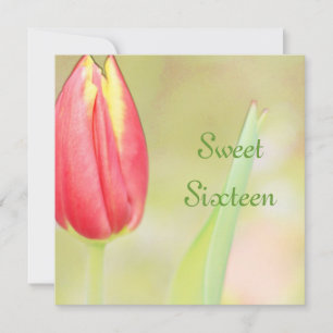 Red Tulpe 16 . Geburtstag - Einladung