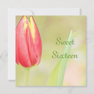 Red Tulpe 16 . Geburtstag - Einladung