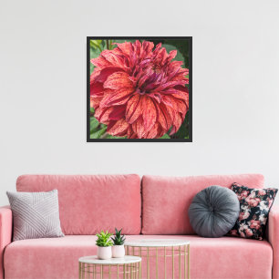 Red Variegated Dahlia Bloom Floral Leinwanddruck