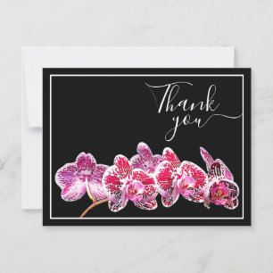 Red Veined Orchid gegen schwarzen Hintergrund Viel Postkarte