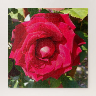Red Velvet Bud Puzzle