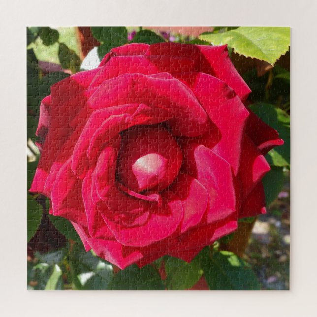 Red Velvet Bud Puzzle (Vertikal)